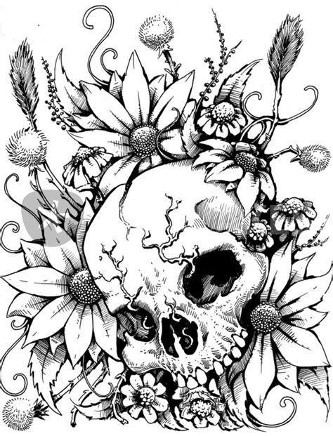 Wild Flowers Drawing Art Prints And Posters By Danny Silva