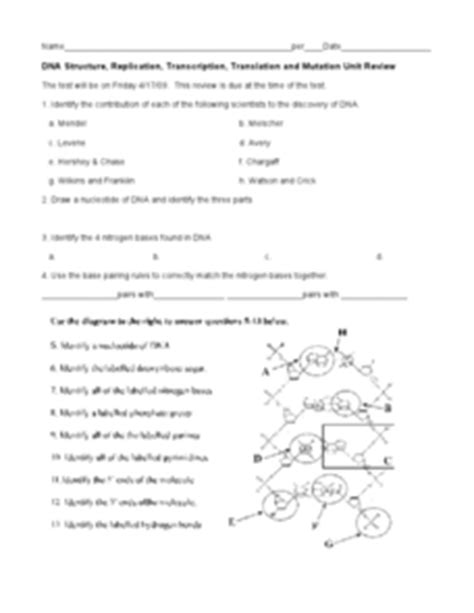 Explore dna structure/function, chromosomes, genes, and traits on this vid and find out how this relates to this worksheet is useful in helping the students assess their familiarity with the different parts of the. DNA Structure, Replication, Transcription, Translation and Mutation Unit Review 9th - Higher Ed ...