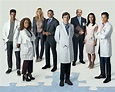 ABC Gives Full-Season Order to TV's No. 1 New Drama, The Good Doctor ...