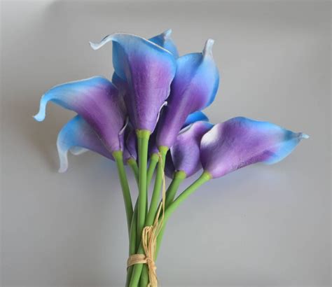10 Royal Blue Purple Picasso Calla Lilies Real Touch Flowers Etsy