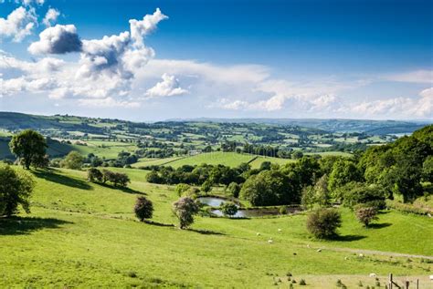 Green Fields And Pastures Of Rural England Stock Photo Image Of