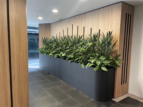 Artificial Plants For Office Plants