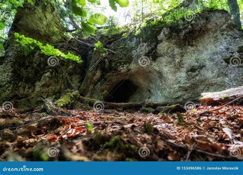 Small Cave In Forest Stock Photo Image Of Stone Mala 153496586