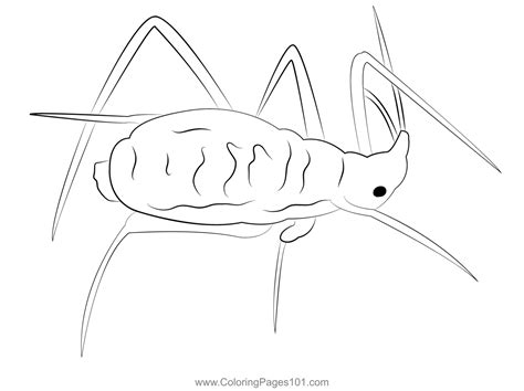 White Aphid Coloring Page For Kids Free Aphids Printable Coloring