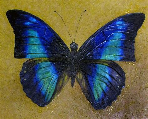 Realistic Butterfly Paintings By Debbie Gioello Butterfly Painting