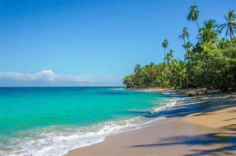 Beach Caribbean Of Costa Rica Close To Puerto Viejo Stock Photo Image