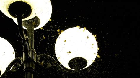 The Argument For Switching Off Lights At Night Bbc Future