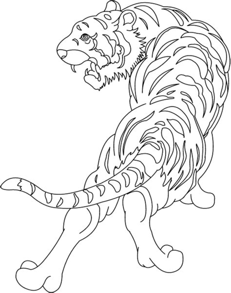 Tigre Dibujo Para Colorear