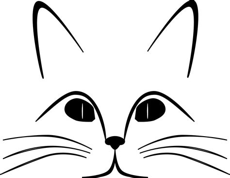 Cat Face Pictures: Cute, Funny, and Adorable Images of Cats