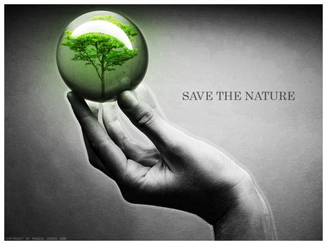 My Blog Page Save The Our Wonderful Nature