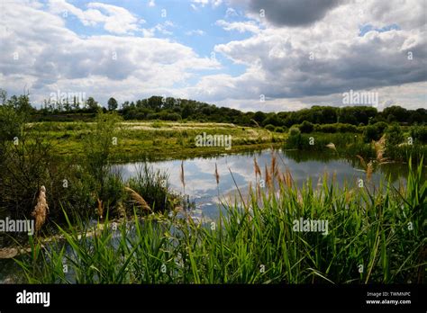 Tring Nature Reserve Hi Res Stock Photography And Images Alamy