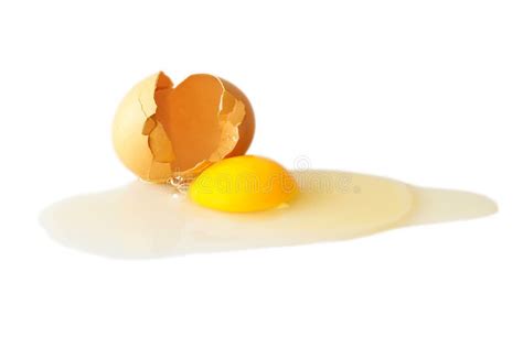 17454 Egg White Broken Shell Stock Photos Free And Royalty Free Stock
