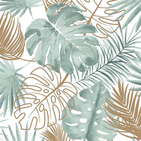 Aesthetic Palm Leaves Wallpapers Top Những Hình Ảnh Đẹp