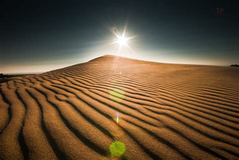 Coast Oregon Landscape Sun Organic Pattern Desert Dune