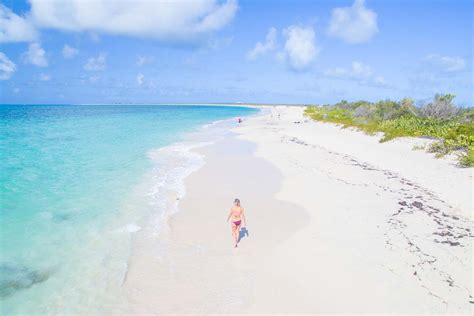Caribbean Island Hopping Barbuda Pink Sand Beach On A Windstar Cruise