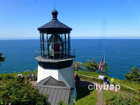 5 Best Things To Do At Cape Meares Lighthouse