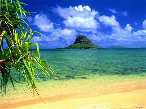 How to change your profile picture on google classroom in 6 easy steps. Chinaman's Hat, Oahu, Hawaii Desktop Wallpaper Backgrounds ...