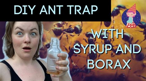 Then add 3 tablespoons of borax. DIY Ant Trap with Borax and Maple Syrup - YouTube