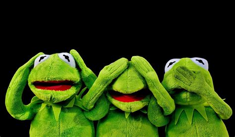 Download Funny Kermit Frogs Dark Surrounding Picture