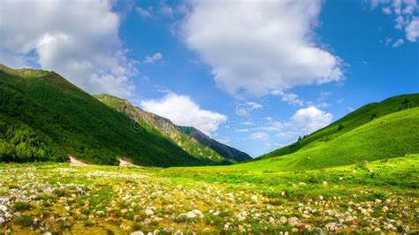 Summer Mountains Alpine Green Valley Mountain Nature Landscape With