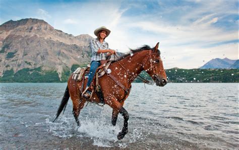 Waterton Lakes National Park Guided Horseback Riding Alpine Stables