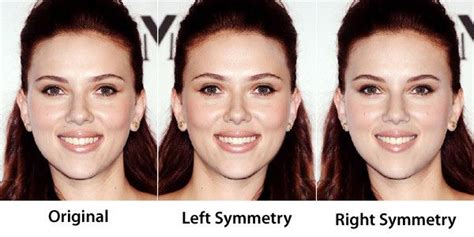 I Wonder What My Symmetry Looks Like Face Symmetry Symmetry Face