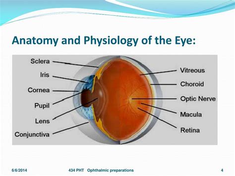 Ppt Ophthalmic Preparations Powerpoint Presentation Free Download