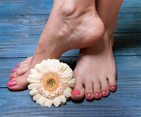 Female Feet With Flowers On White Background Stock Image Image Of