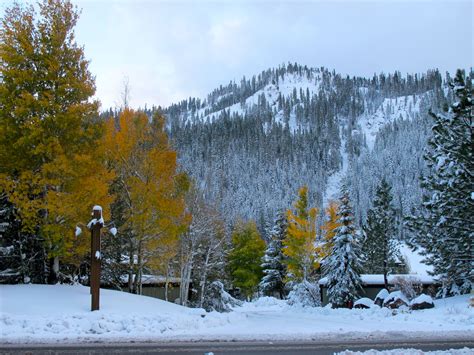 Squaw Valley First Snowfall Of The Season Unofficial Networks