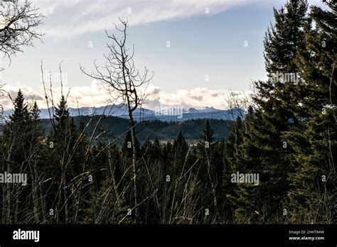 Fall Hike In The Foothills Of Alberta Stock Photo Alamy