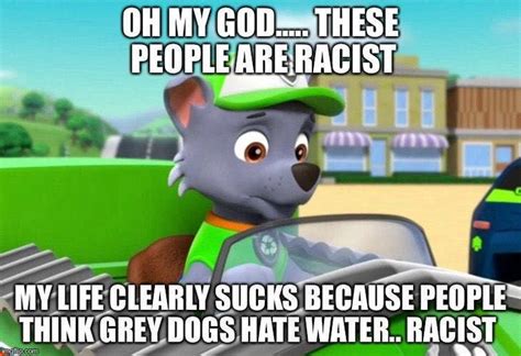 Funny Paw Patrol Memes And Pics 1 Highest Ranking Racist People