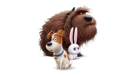 The Secret Life Of Pets 4k 8k Wallpapers Hd Wallpapers Id 17123