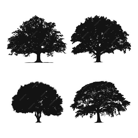 Premium Vector Hand Drawn Oak Tree Silhouette