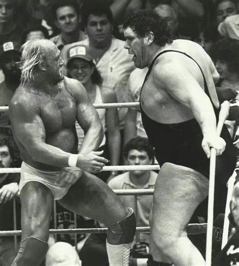 Hulk Hogan And Andre The Giant Wrestling Superstars Famous Wrestlers