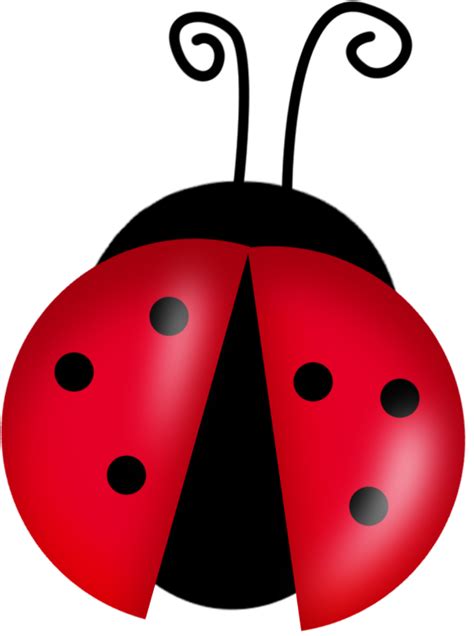 Download High Quality Ladybug Clipart Animated Transparent Png Images