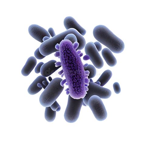 Pseudomonas Aeruginosa Bacteria Rod Shaped Purple Bacteria Pathogenic