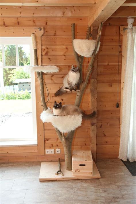 Dennoch müssen sie nicht tief in die tasche greifen, um diesen. Image result for kratzbaum selbstgemacht | Kratzbaum selber bauen, Kratzbaum und Kratzbaum katze