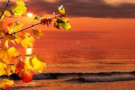 Fall Morning At The Ocean Stock Photo Image Of Ripples 21366354