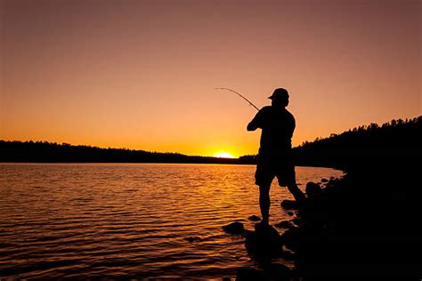 13200 Fisherman Silhouette Fishing At Sunset Stock Photos Pictures