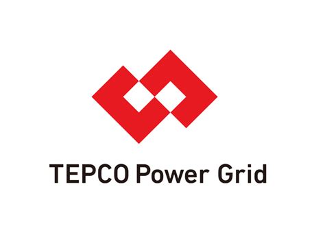 Company Overview TEPCO