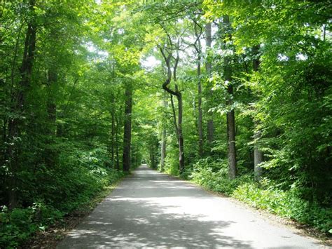 Rondeau Provincial Park Carolinian Canada