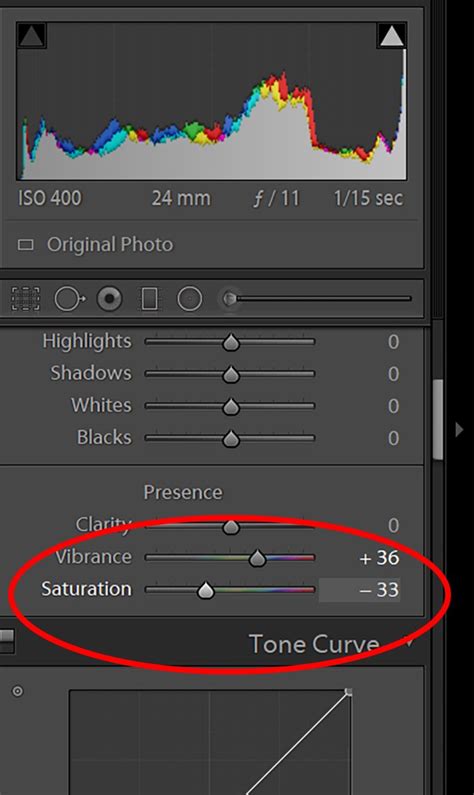 What Is Color Saturation How To Understand And Use It Expertphotography