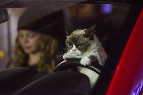 Grumpy Cat Movie Trailer Grumpy Cats Worst Christmas Ever Starring