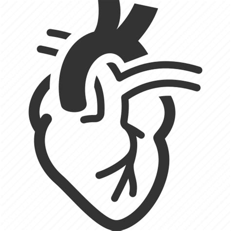 Cardiology Cardiovascular Heart Health Human Heart Icon