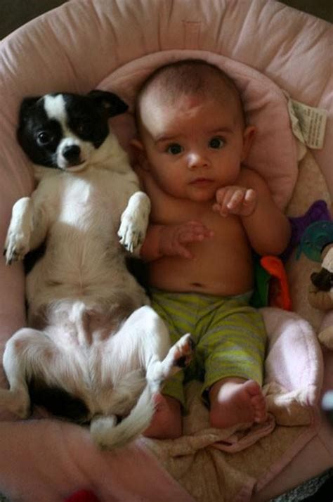 Funny Pictures Of Kids And Animals 30 Pics Amazing Creatures