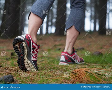 Feet Of Young Woman Hikingin The Forest Stock Photo Image Of Country