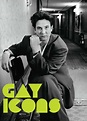 National Portrait Gallery - Gay Icons