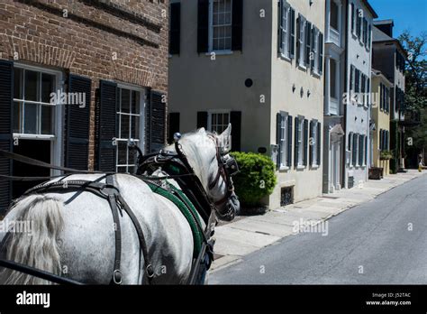 South Carolina Charleston Typical Historic Downtown Sightseeing