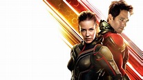 Ant Man And The Wasp UHD 8K Wallpaper - Pixelz.cc