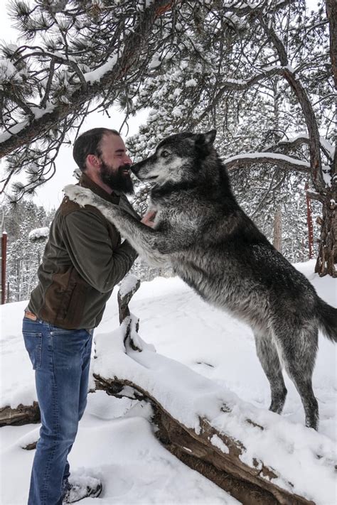 I Took An Interactive Alpha Tour At The Colorado Wolf And Wildlife
